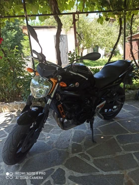     Yamaha FZ6 S2