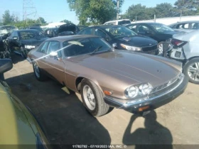 Jaguar Xjs 