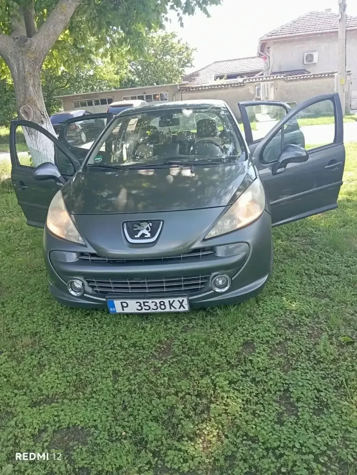 Peugeot 207 Sport