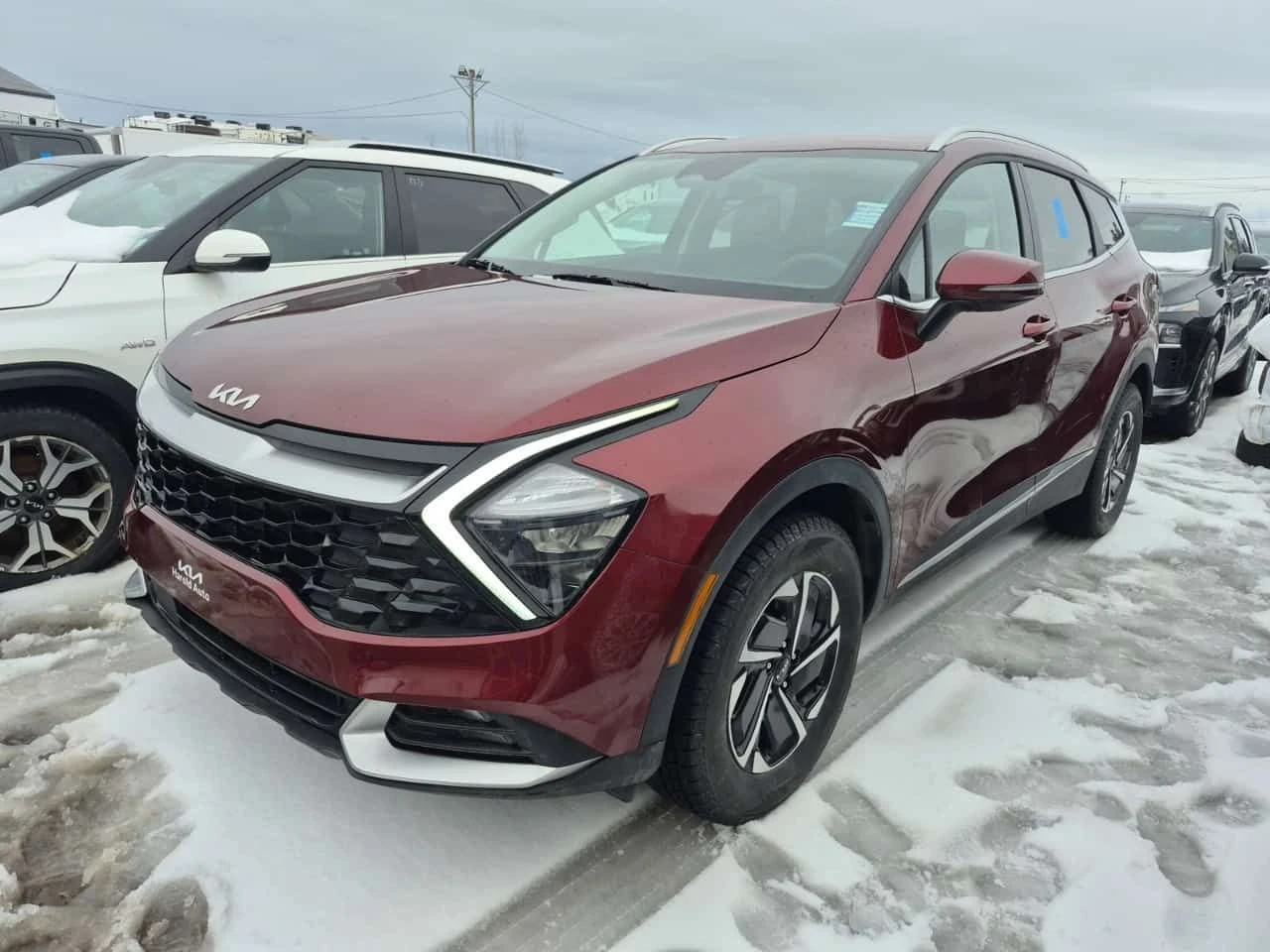 Kia Sportage EX HYB AWD * CARFAX * 2 ����� * �������� *  | Mobile.bg � ����������� 1