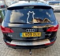 Audi Q5  - изображение 5