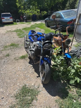  Suzuki SV