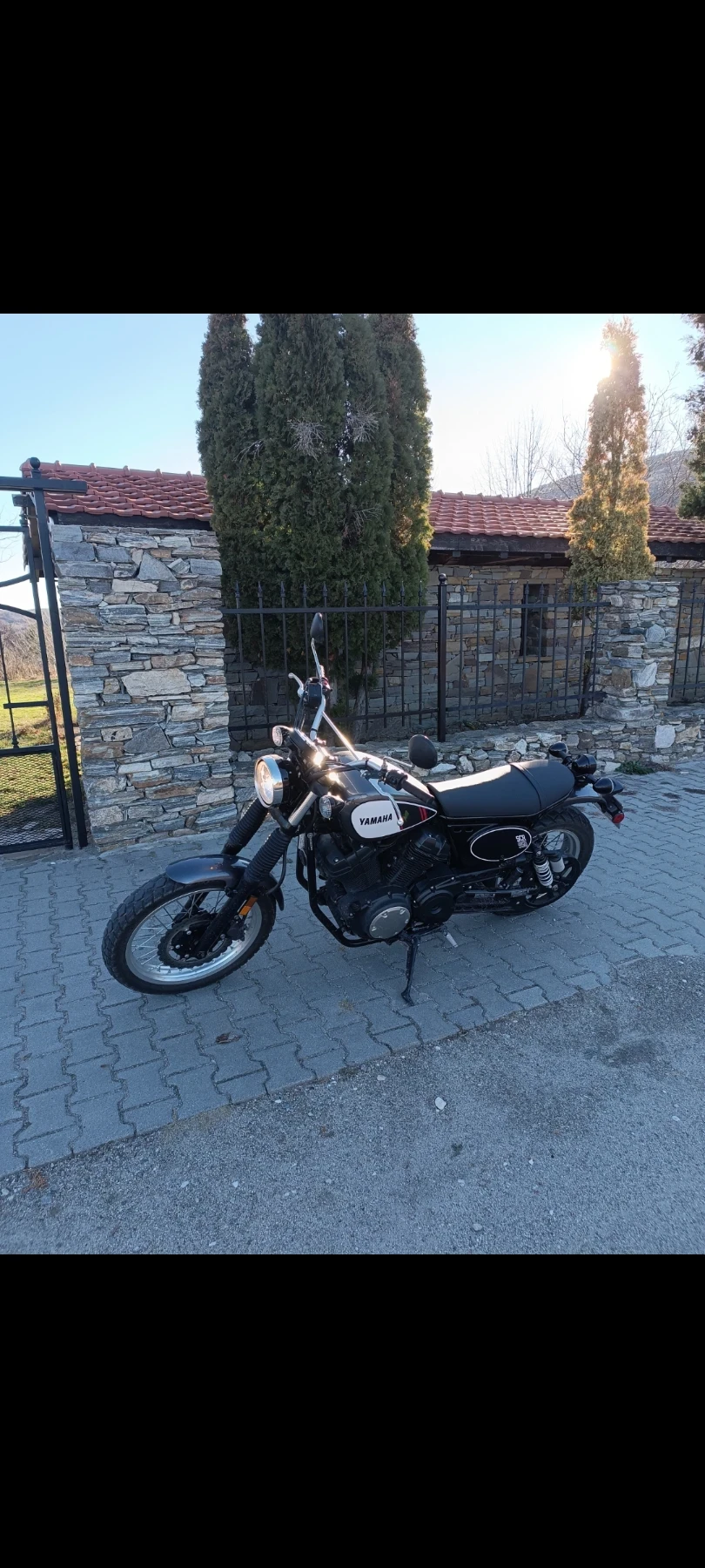 Yamaha Xvs YAMAHA SCR 950 2017г - изображение 3