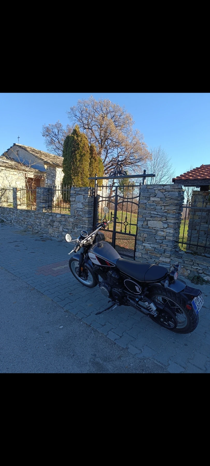 Yamaha Xvs YAMAHA SCR 950 2017г - изображение 4