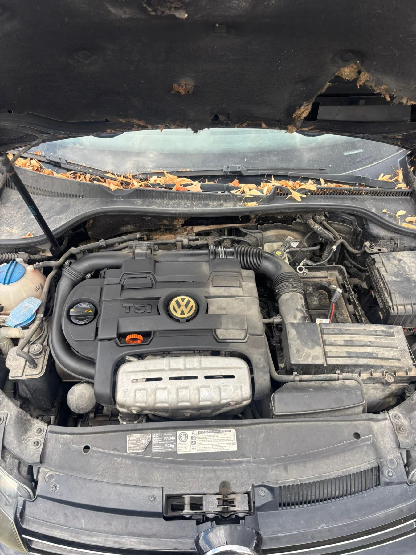 VW Golf | Mobile.bg   11