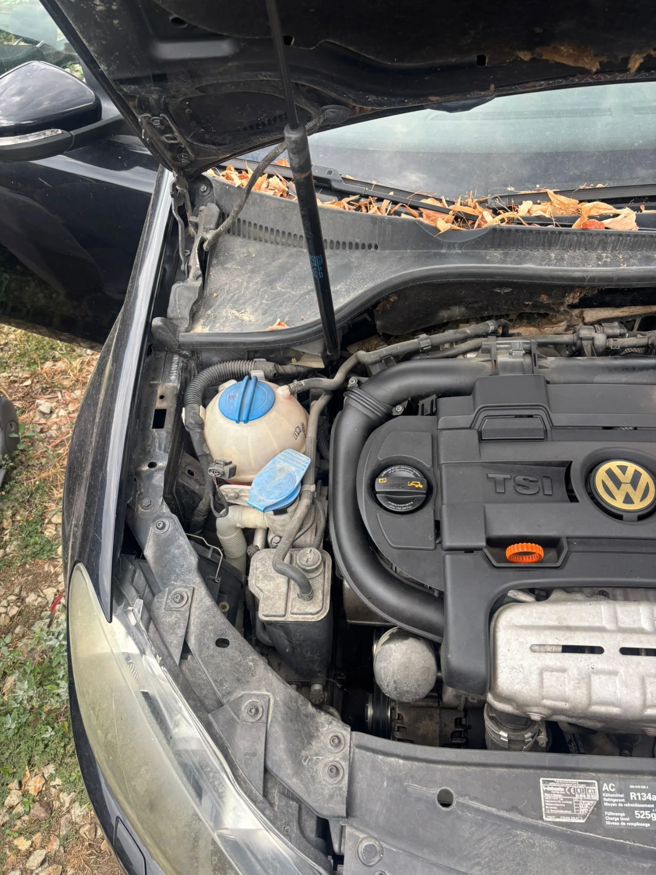 VW Golf | Mobile.bg   12