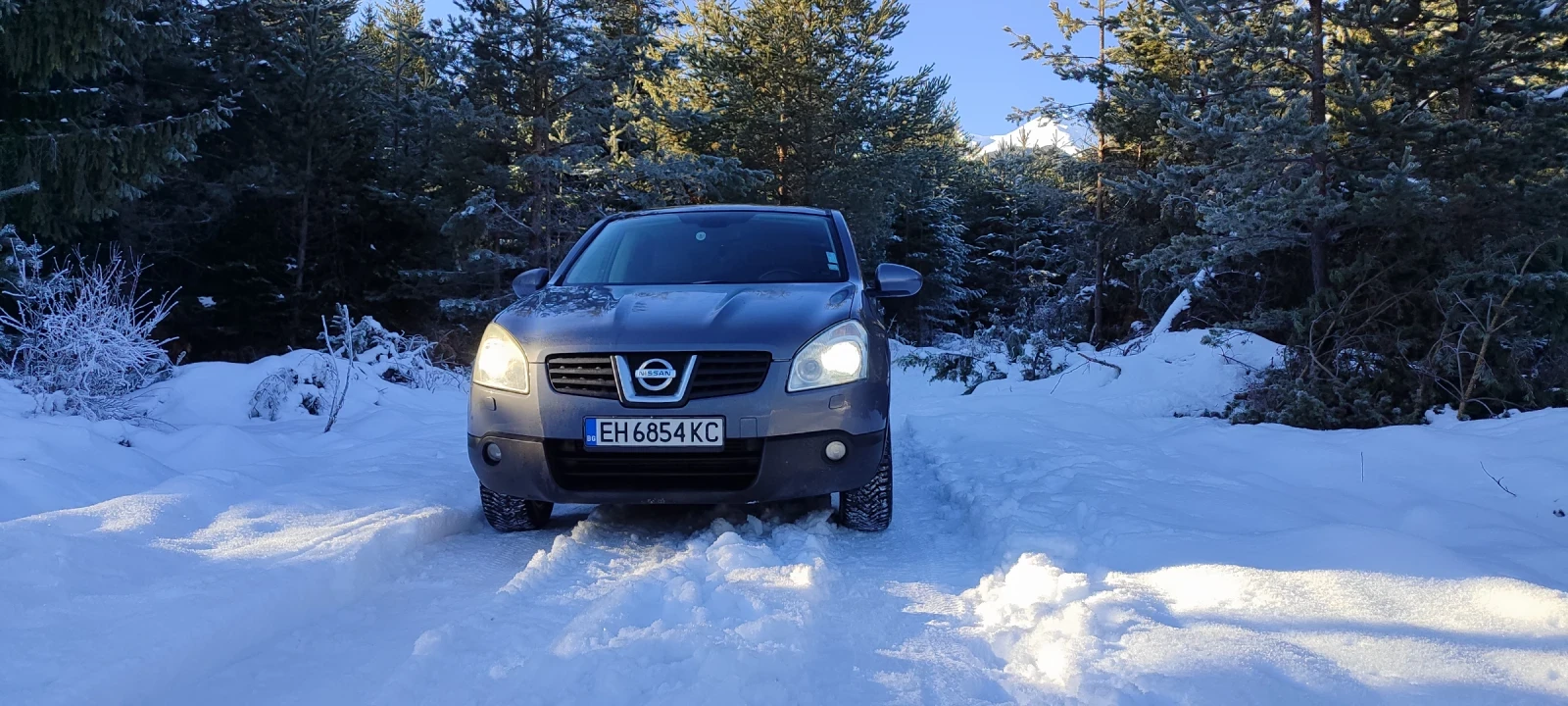 Nissan Qashqai  - изображение 6