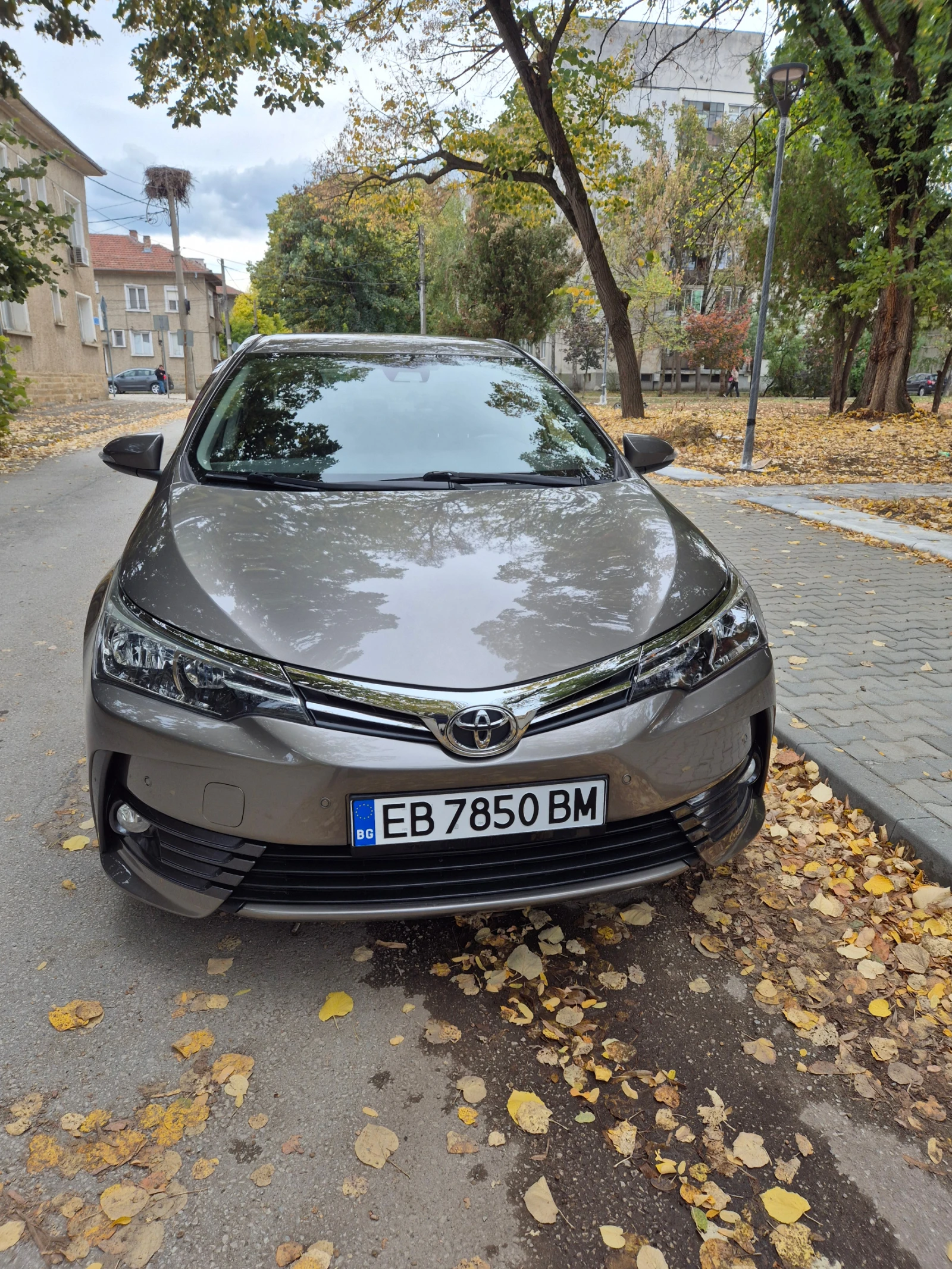 Toyota Corolla ANNIVERSARY 50