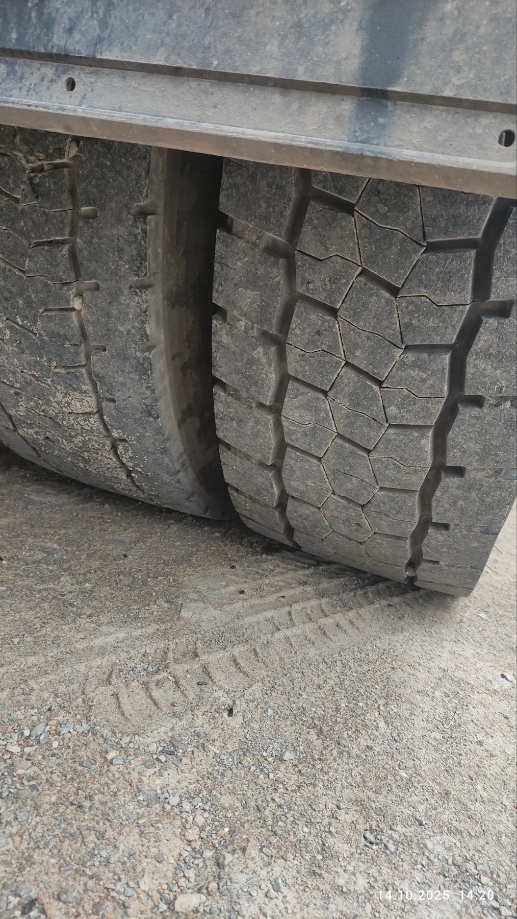 Man Tgx 18.500 - изображение 6