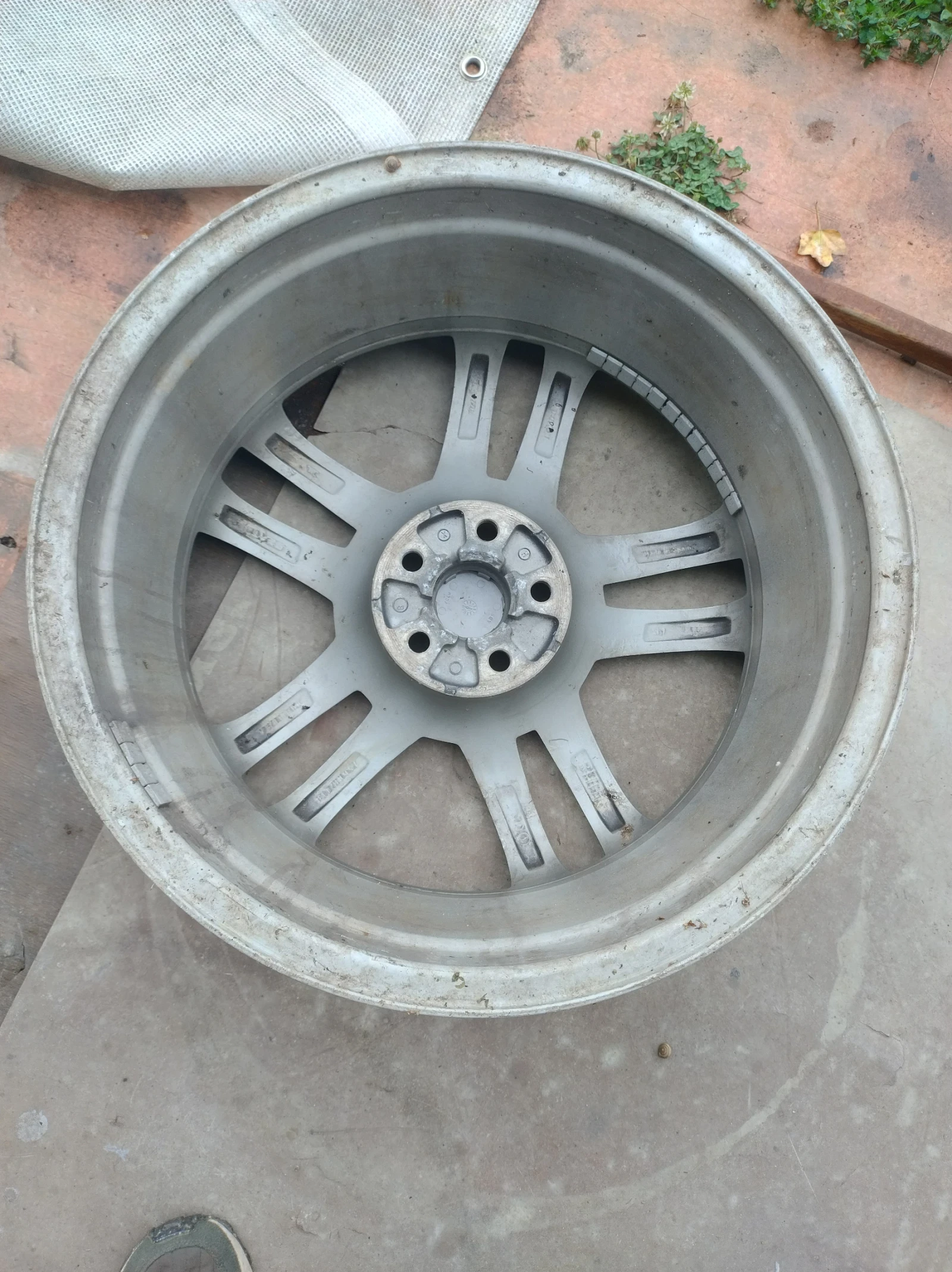 ������ �� Seat | Mobile.bg � ����������� 2