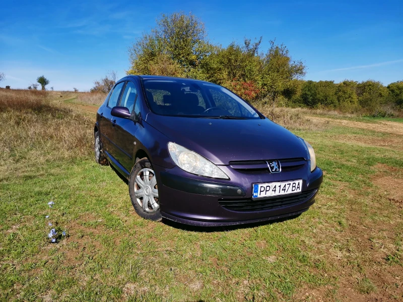 Peugeot 307 2.0 HDI, снимка 6 - Автомобили и джипове - 49374352