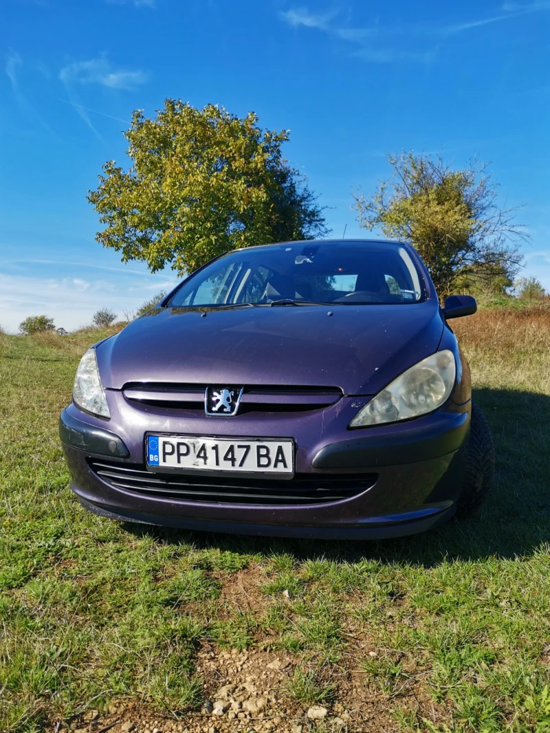 Peugeot 307 2.0 HDI, снимка 2 - Автомобили и джипове - 49374352