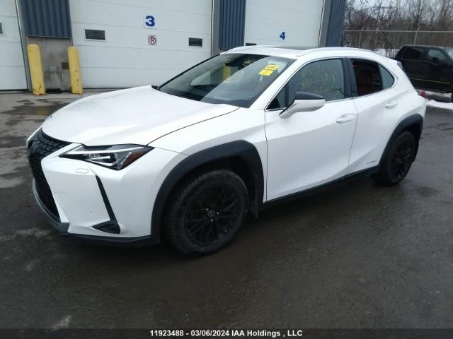 Lexus UX 250h КАНАДА/РЕАЛЕН ПРОБЕГ, снимка 3 - Автомобили и джипове - 48485423