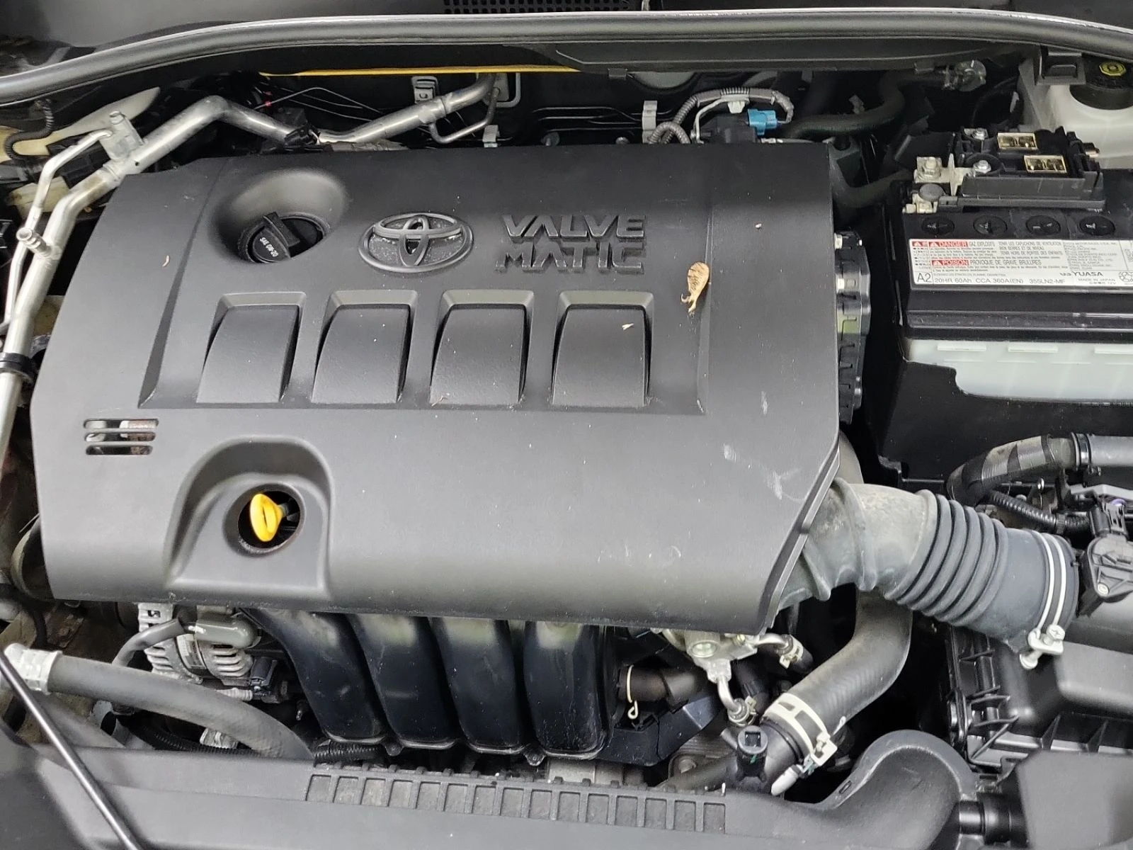 Toyota C-HR LE  CARFAX, снимка 15 - Автомобили и джипове - 53714756