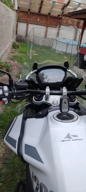 Triumph Tiger Se special edition  | Mobile.bg    9