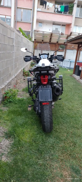 Triumph Tiger Se special edition  | Mobile.bg    8