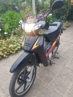    Shineray XY Shineray xy 125