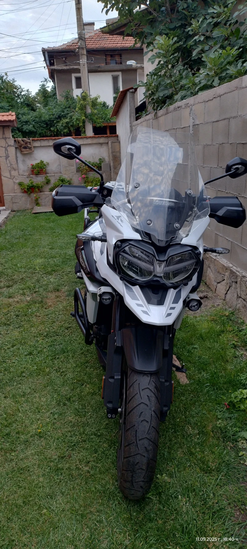 Triumph Tiger Se special edition , снимка 3 - Мотоциклети и мототехника - 52569826