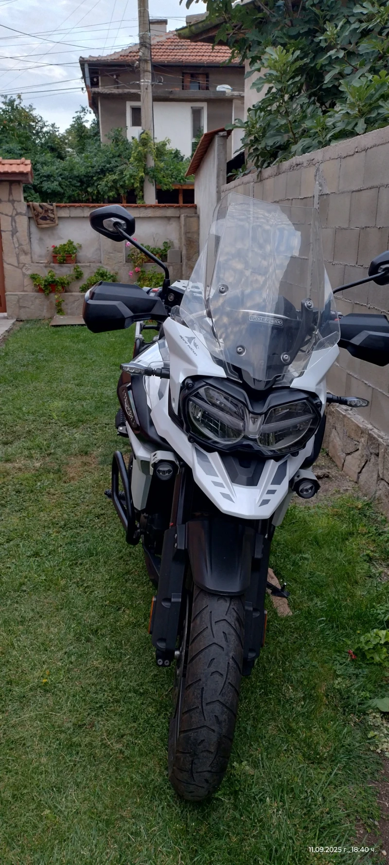 Triumph Tiger Se special edition , снимка 4 - Мотоциклети и мототехника - 52569826