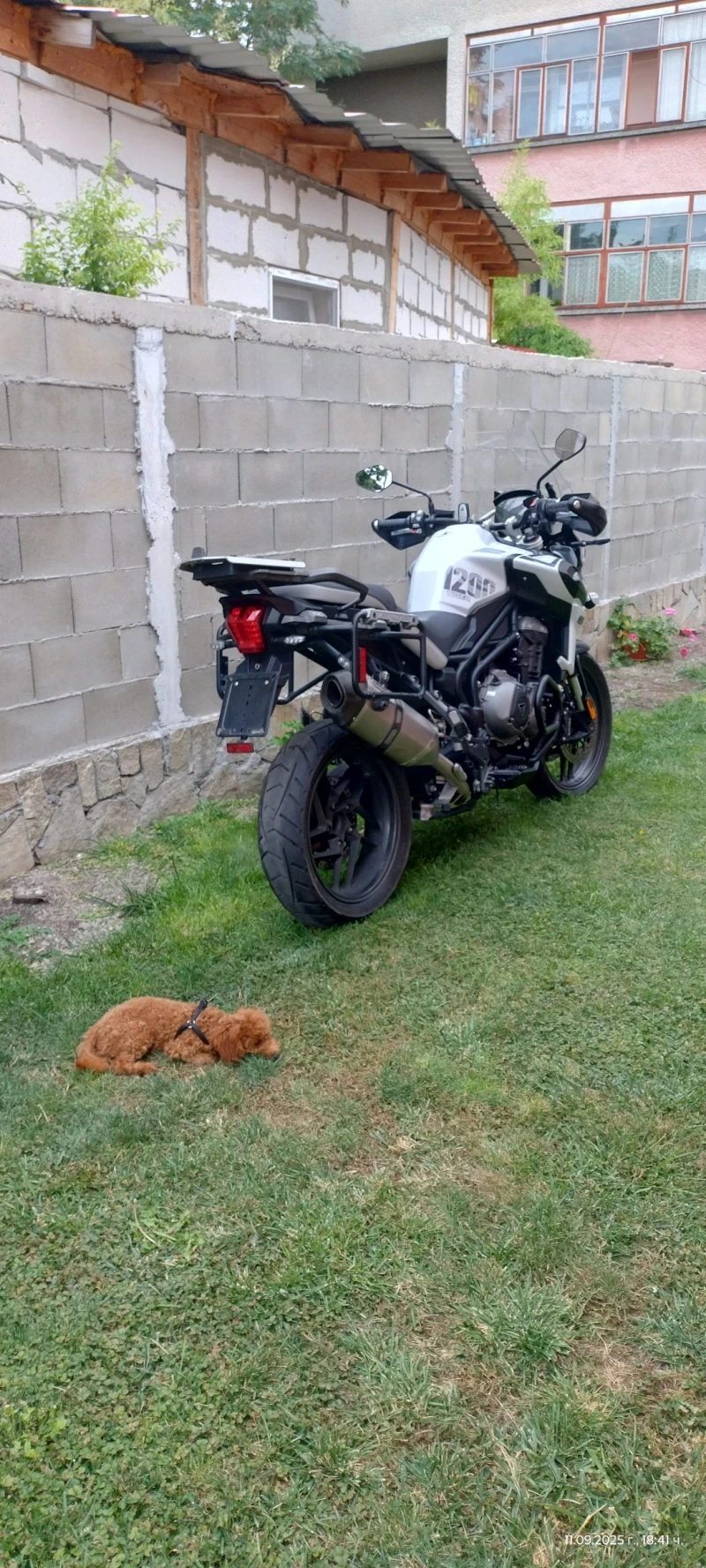 Triumph Tiger Se special edition , снимка 7 - Мотоциклети и мототехника - 52569826