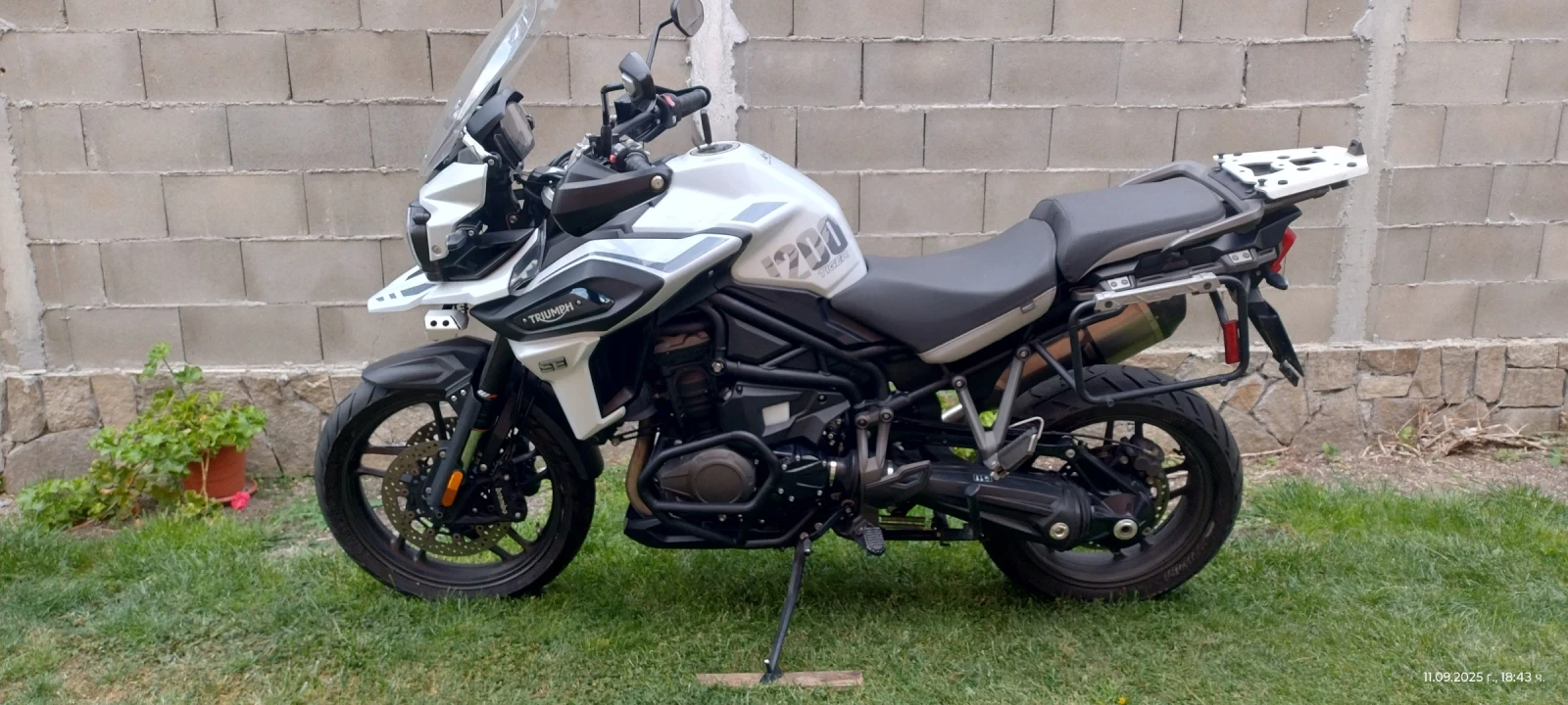 Triumph Tiger Se special edition  | Mobile.bg   11