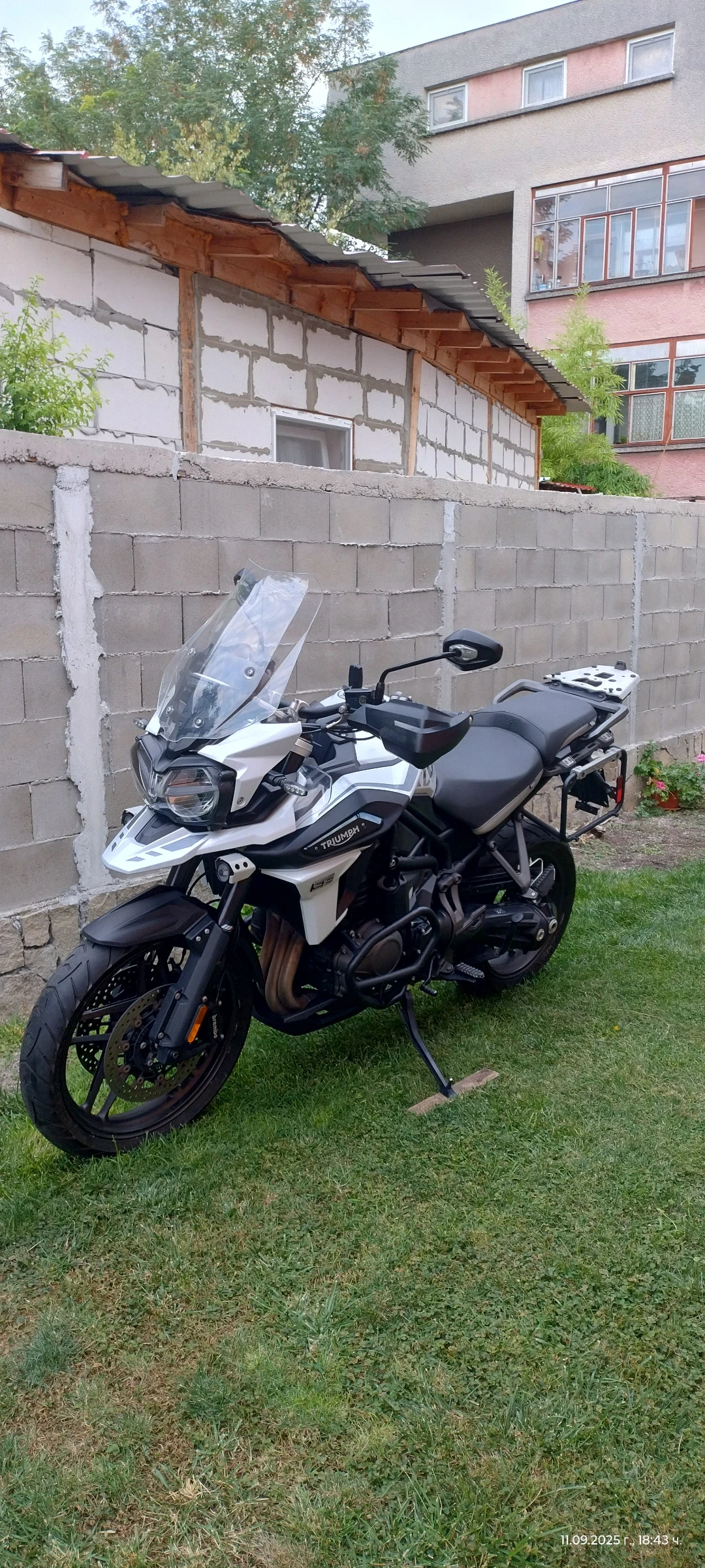 Triumph Tiger Se special edition  | Mobile.bg   13