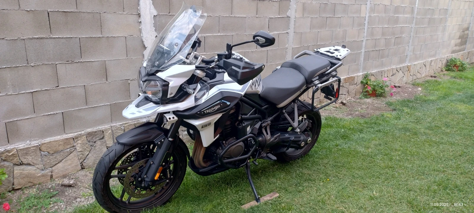 Triumph Tiger Se special edition  | Mobile.bg   12