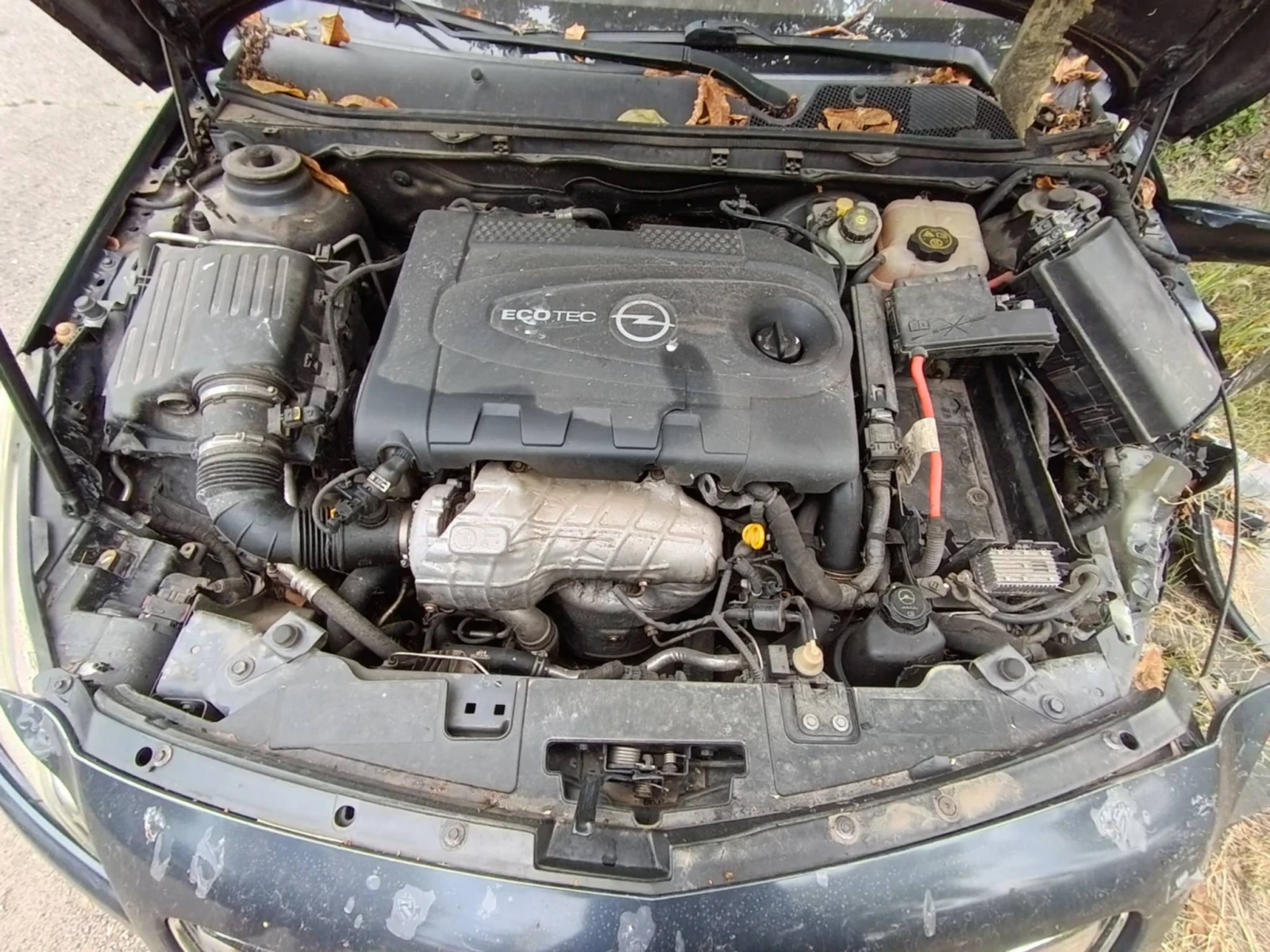 Opel Insignia, снимка 8 - Автомобили и джипове - 55953790