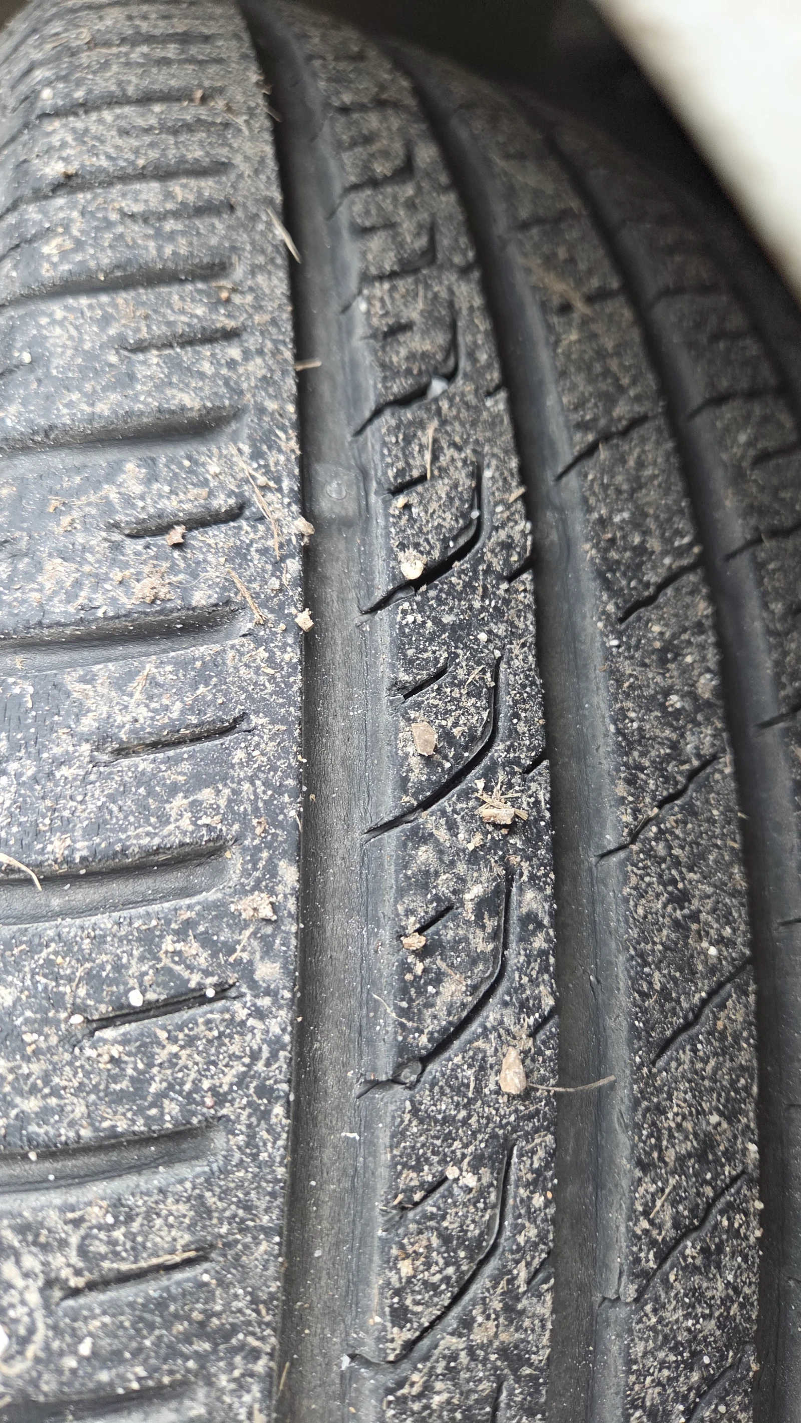 Renault Scenic, снимка 8 - Автомобили и джипове - 53989765