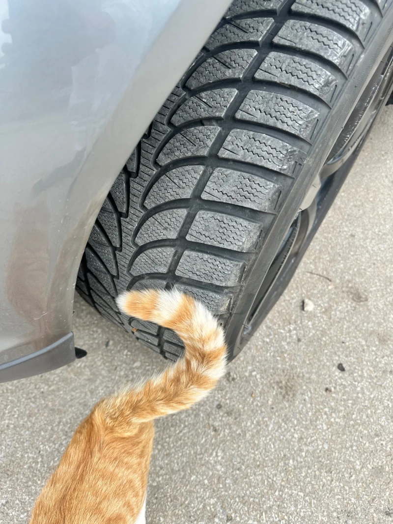 Audi Q7, снимка 5 - Автомобили и джипове - 53157513