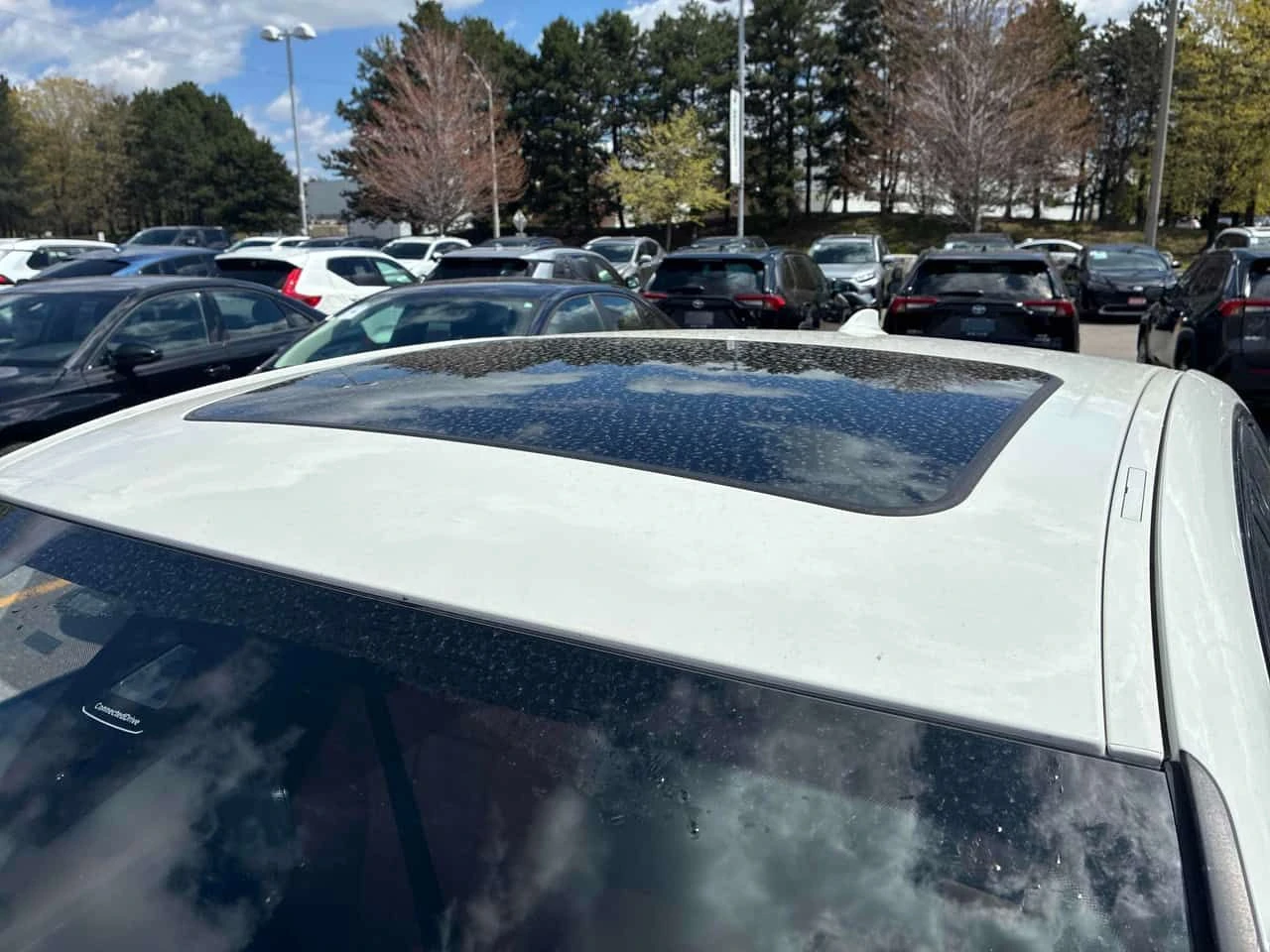 BMW 330 330i xDrive  CARFAX | Mobile.bg � ����������� 13