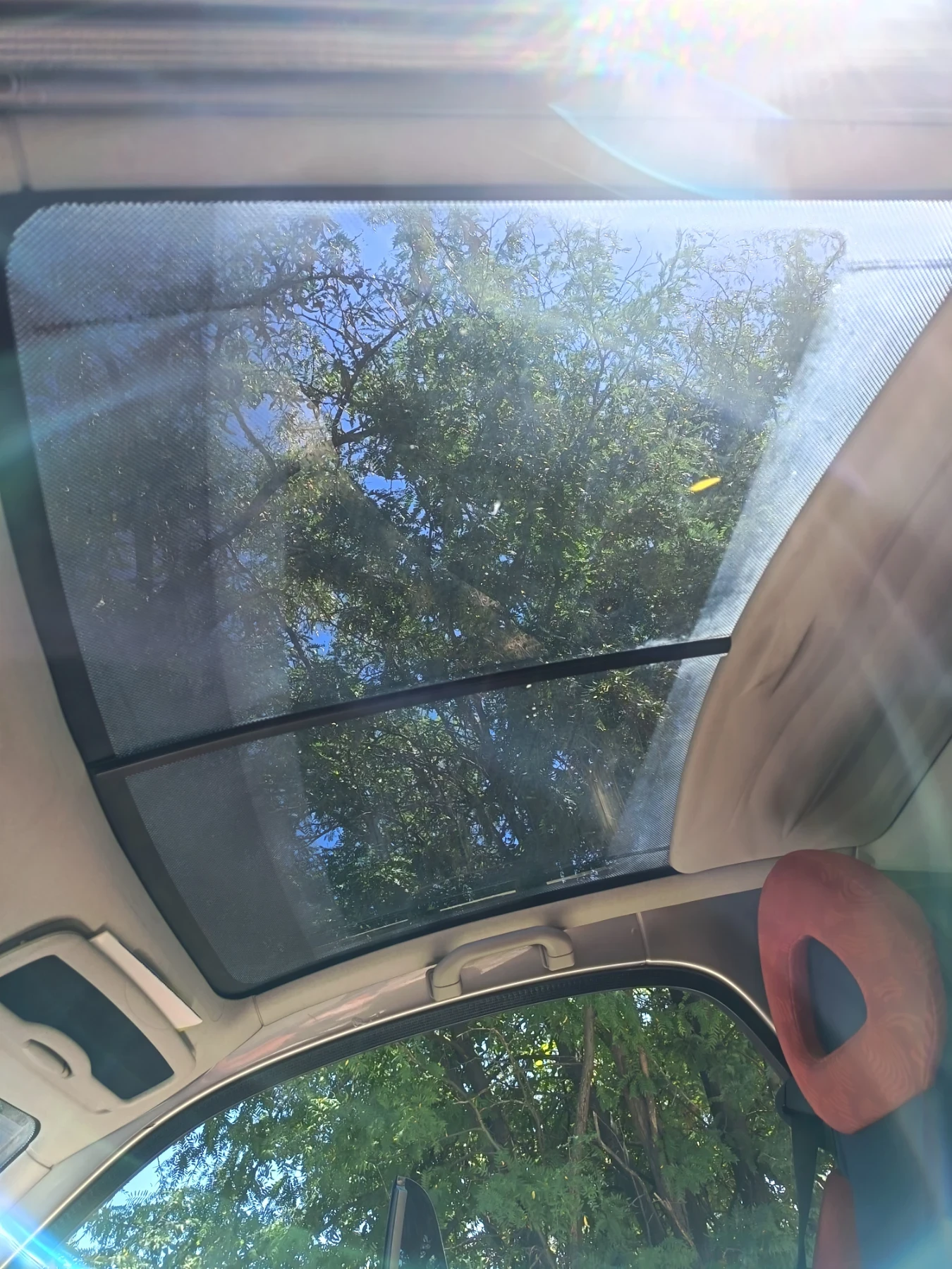 Smart Fortwo, снимка 7 - Автомобили и джипове - 55780970