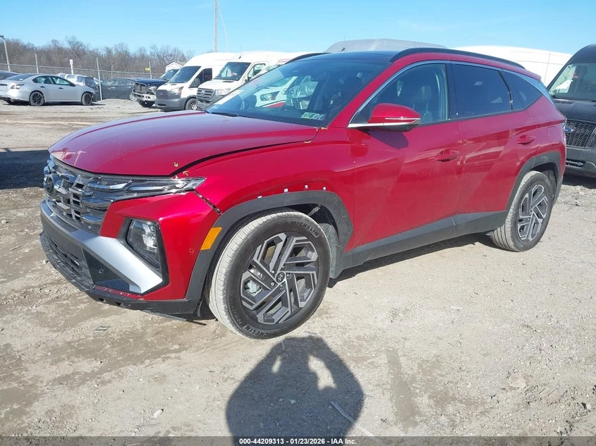 Hyundai Tucson 2025 HYUNDAI TUCSON HYBRID LIMITED | Mobile.bg � ����������� 1