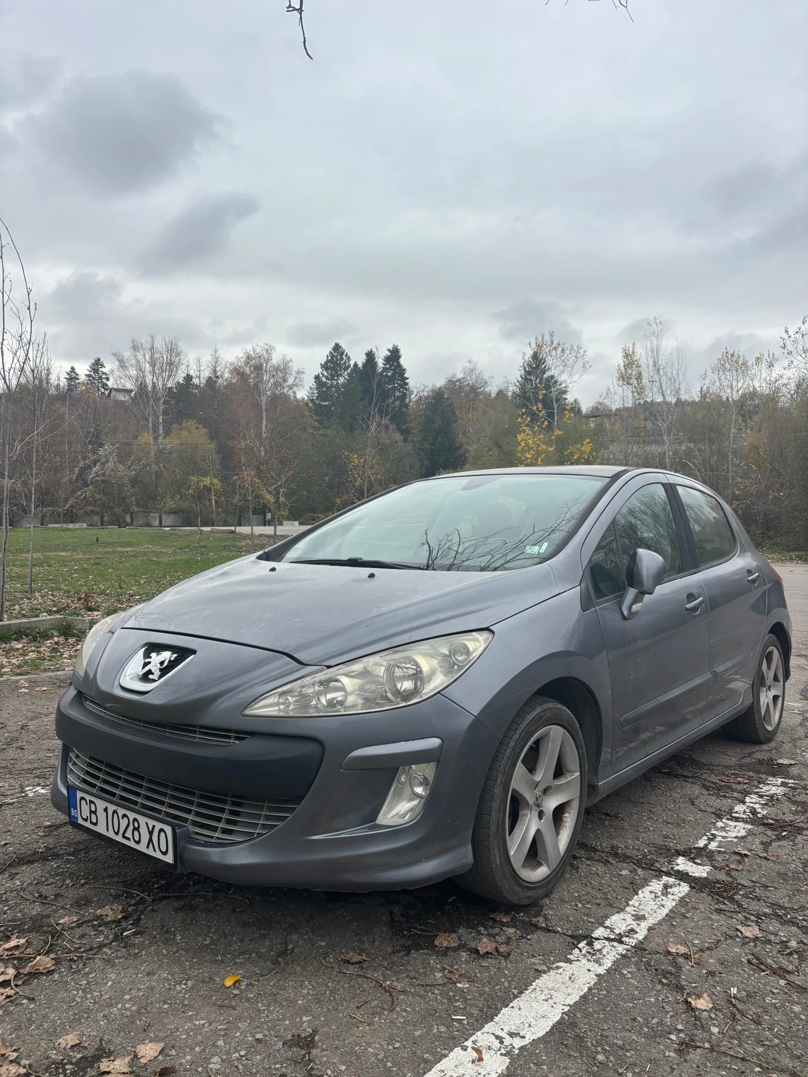 Peugeot 308 панорама - изображение 2