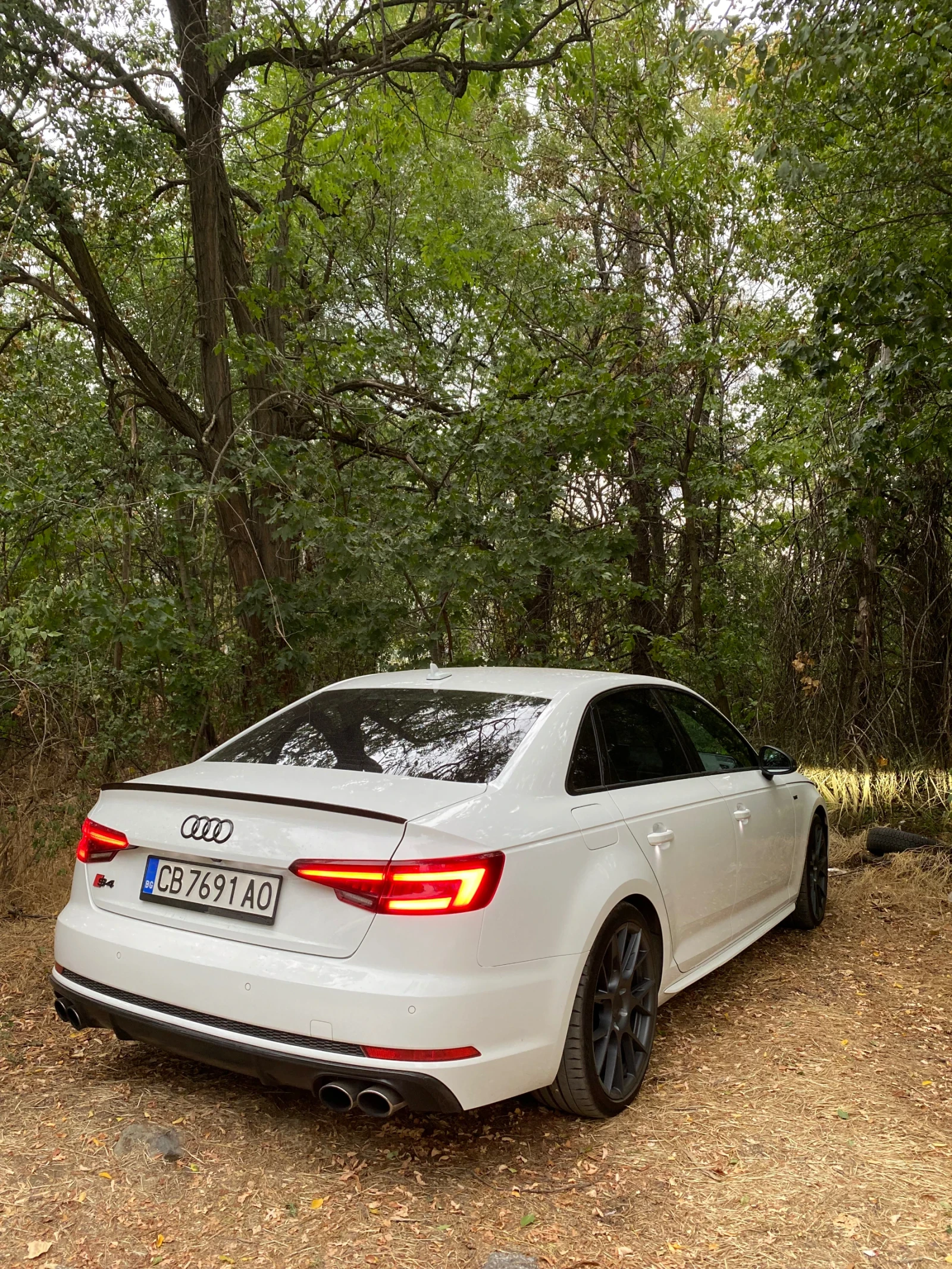 Audi S4, снимка 8 - Автомобили и джипове - 54370249