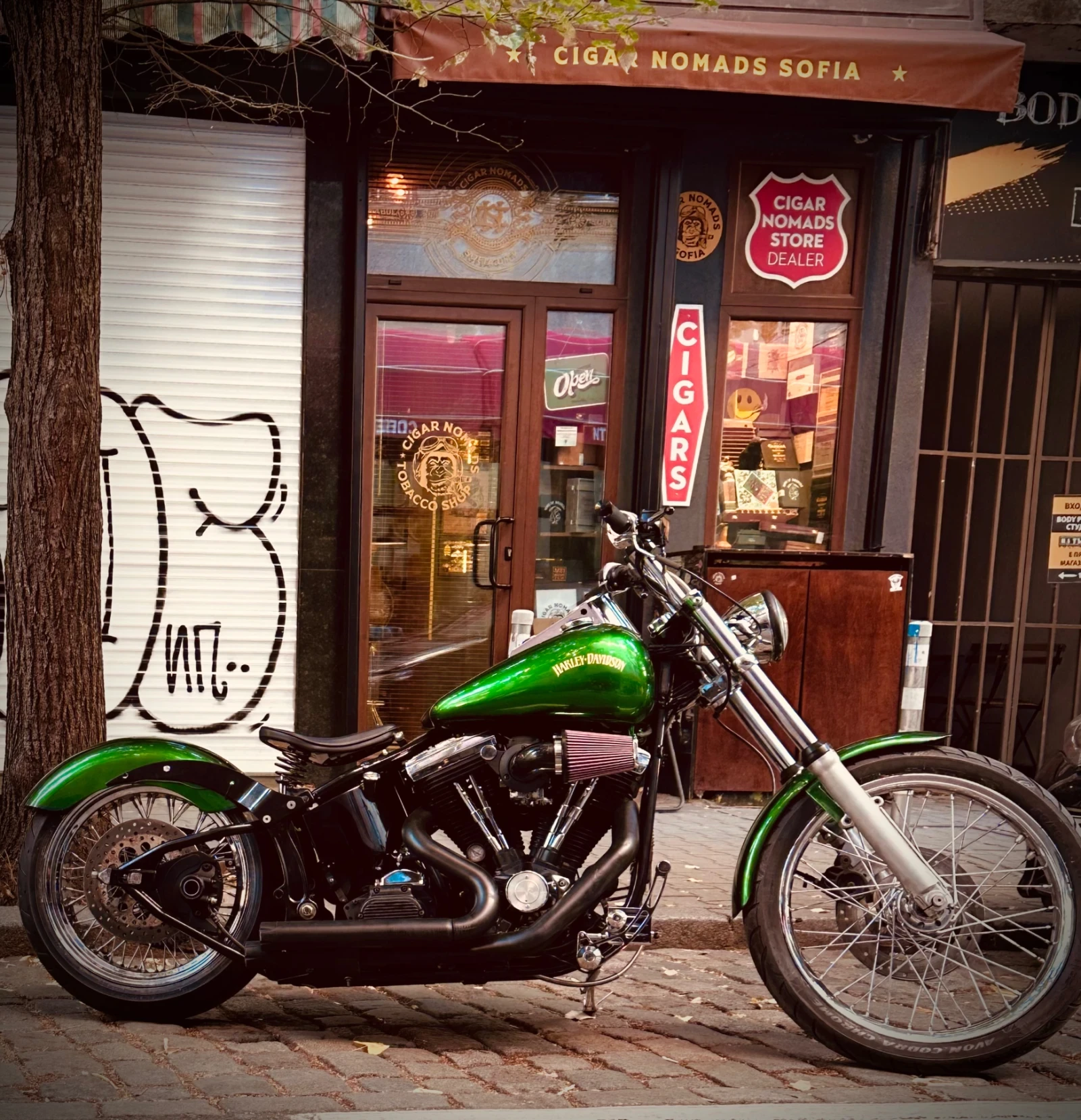 Harley-Davidson Softail | Mobile.bg   1