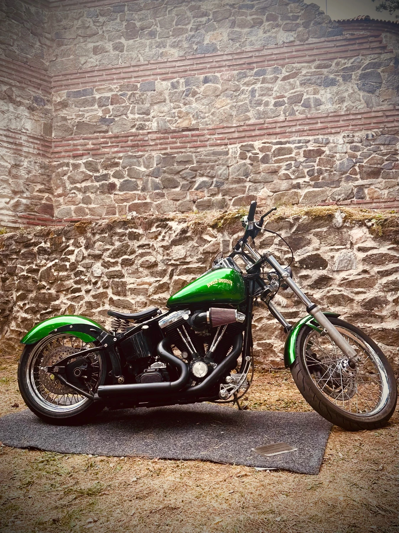 Harley-Davidson Softail  - изображение 4