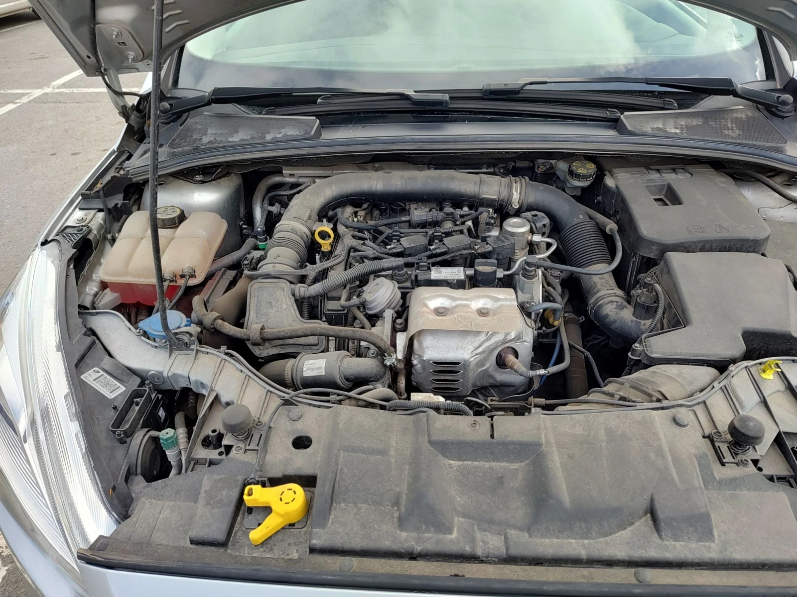 Ford Focus 125 ����, 66 �. ��. ECOBOOST, ����� ����������  | Mobile.bg � ����������� 11