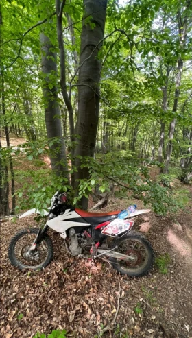 Beta Rr, снимка 2