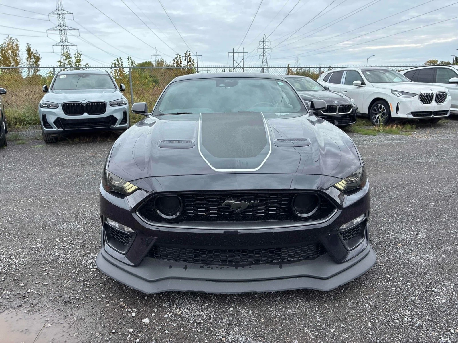 Ford Mustang Mach 1 ���������� ���� �� �������� | Mobile.bg � ����������� 3