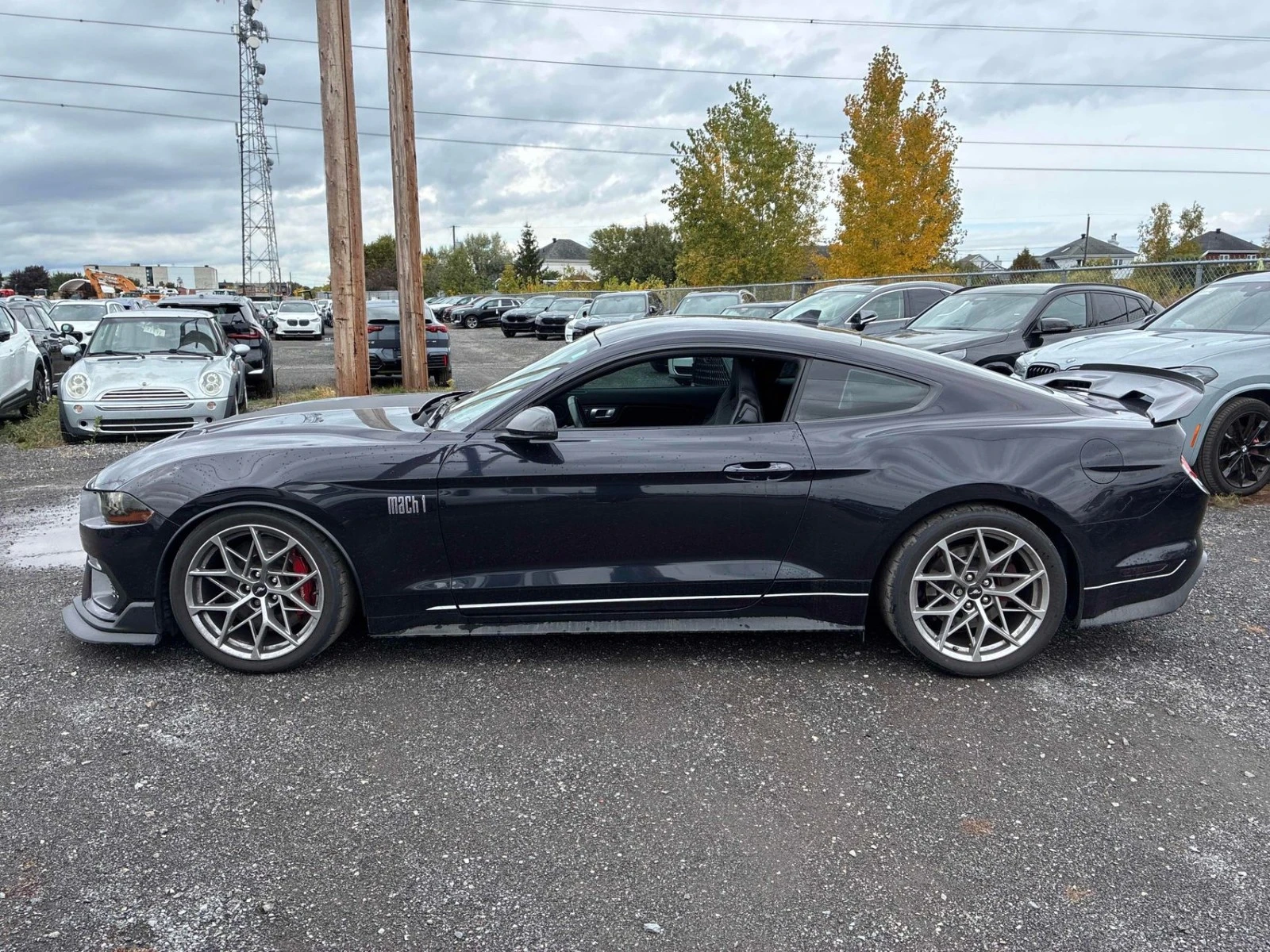 Ford Mustang Mach 1 ���������� ���� �� �������� | Mobile.bg � ����������� 2