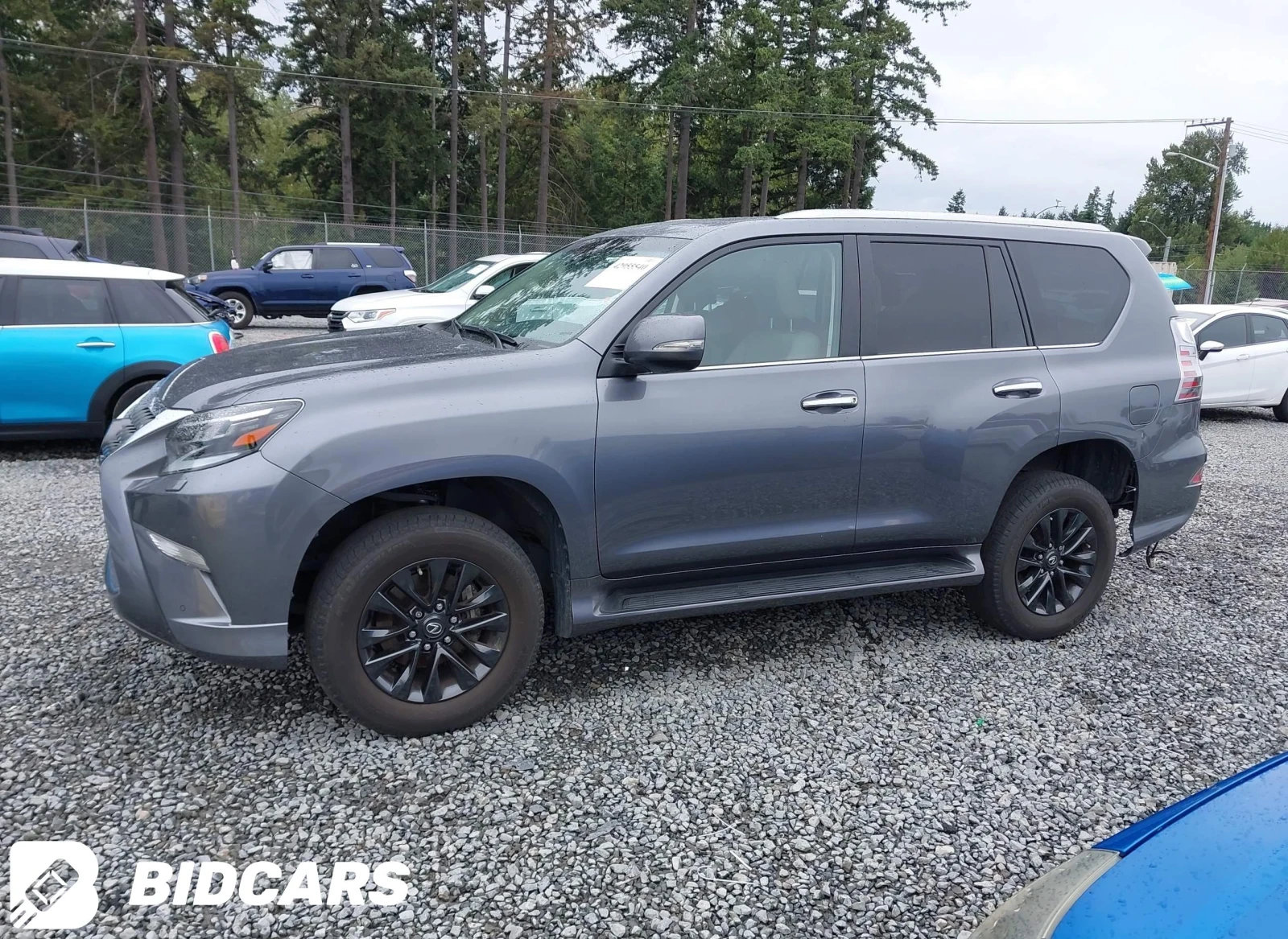 Lexus GX 460 Premium | Mobile.bg   3