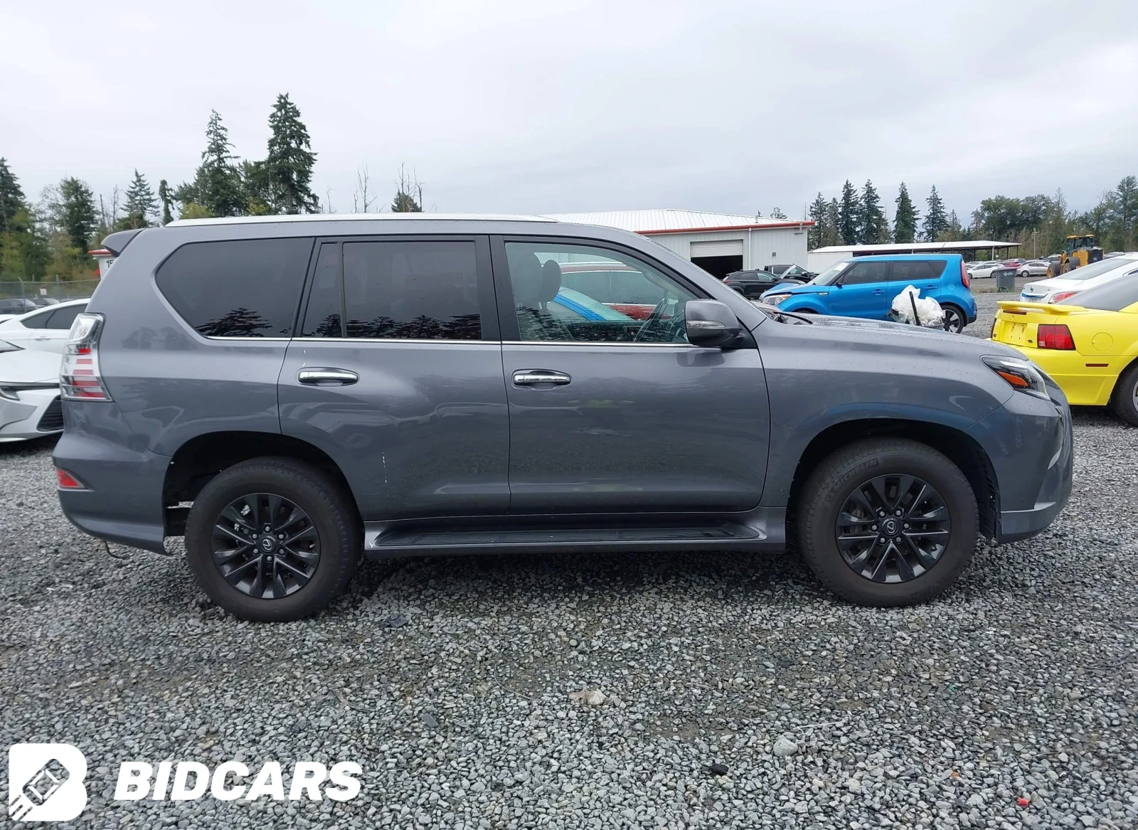 Lexus GX 460 Premium | Mobile.bg   2