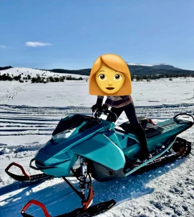 Ski-Doo Freeride, снимка 1