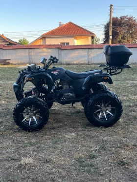 Shineray XY ATV 250cc SHINERAY | Mobile.bg    4