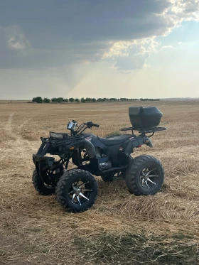 Shineray XY ATV 250cc SHINERAY | Mobile.bg    10