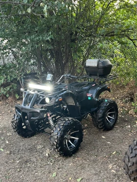 Shineray XY ATV 250cc SHINERAY | Mobile.bg    9