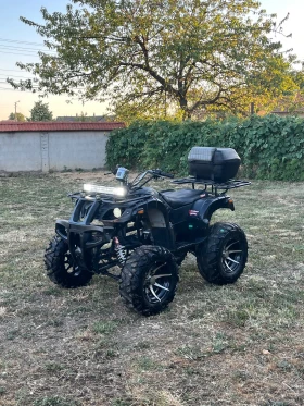 Shineray XY ATV 250cc SHINERAY | Mobile.bg    2