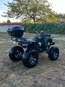 Shineray XY ATV 250cc SHINERAY | Mobile.bg    6
