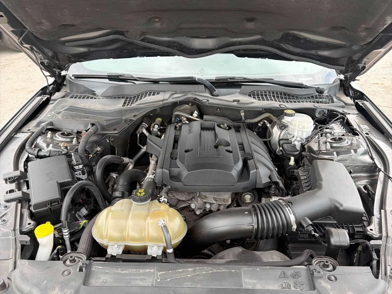 Ford Mustang * EcoBoost * CARFAX * ЦЕНА ДО БГ, снимка 11 - Автомобили и джипове - 54729313